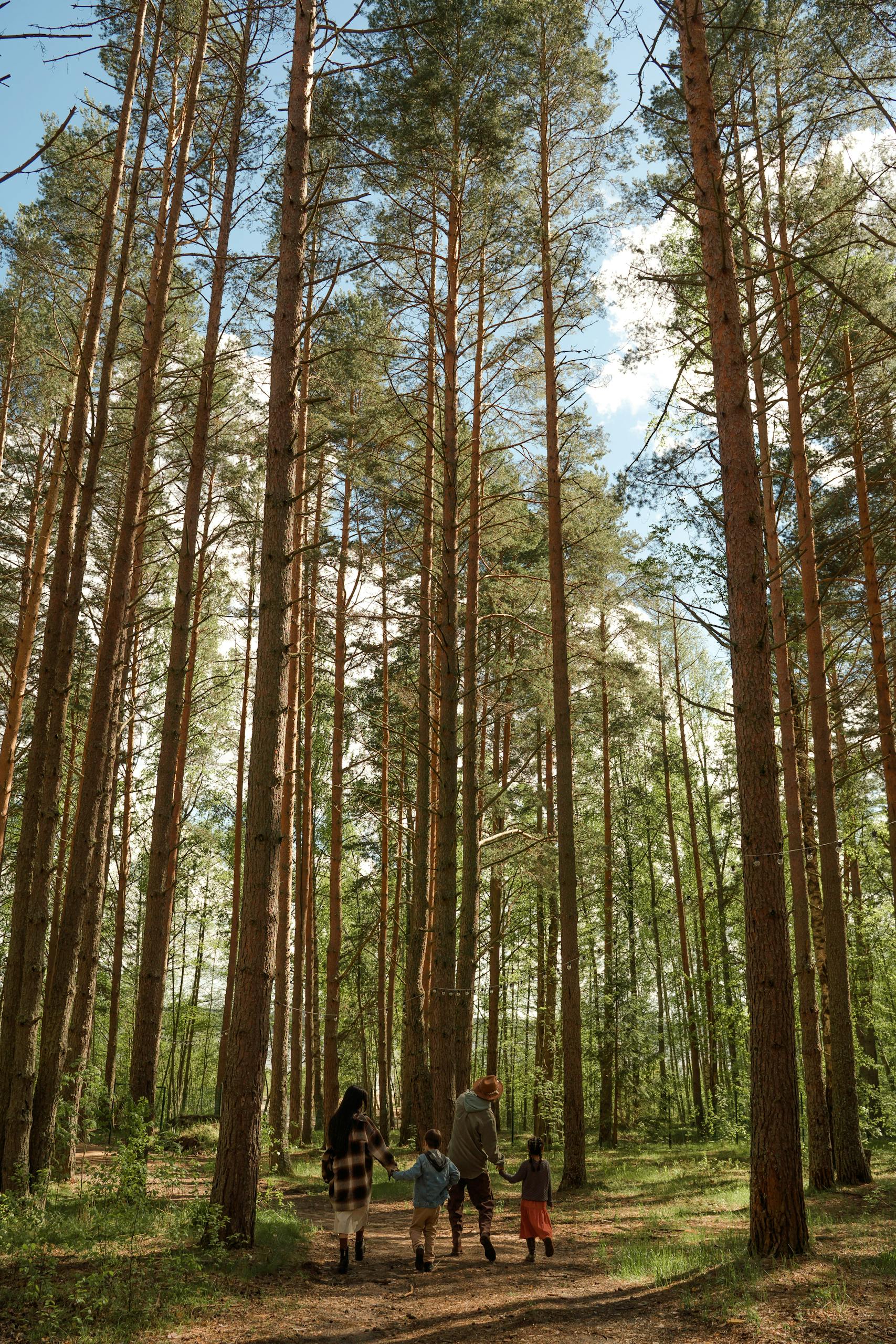 A homeschool family walks hand in hand through a serene forest with tall trees, enjoying nature.